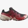 کفش تریل رانینگ مردانه SPEEDCROSS 6 GTX