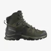 کفش کوهنوردی مردانه QUEST 4 GTX Olive