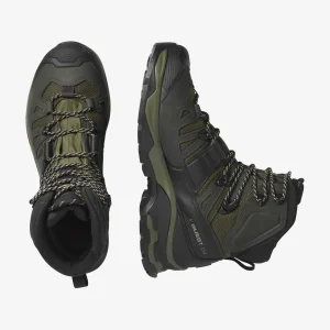 کفش کوهنوردی مردانه QUEST 4 GTX Olive