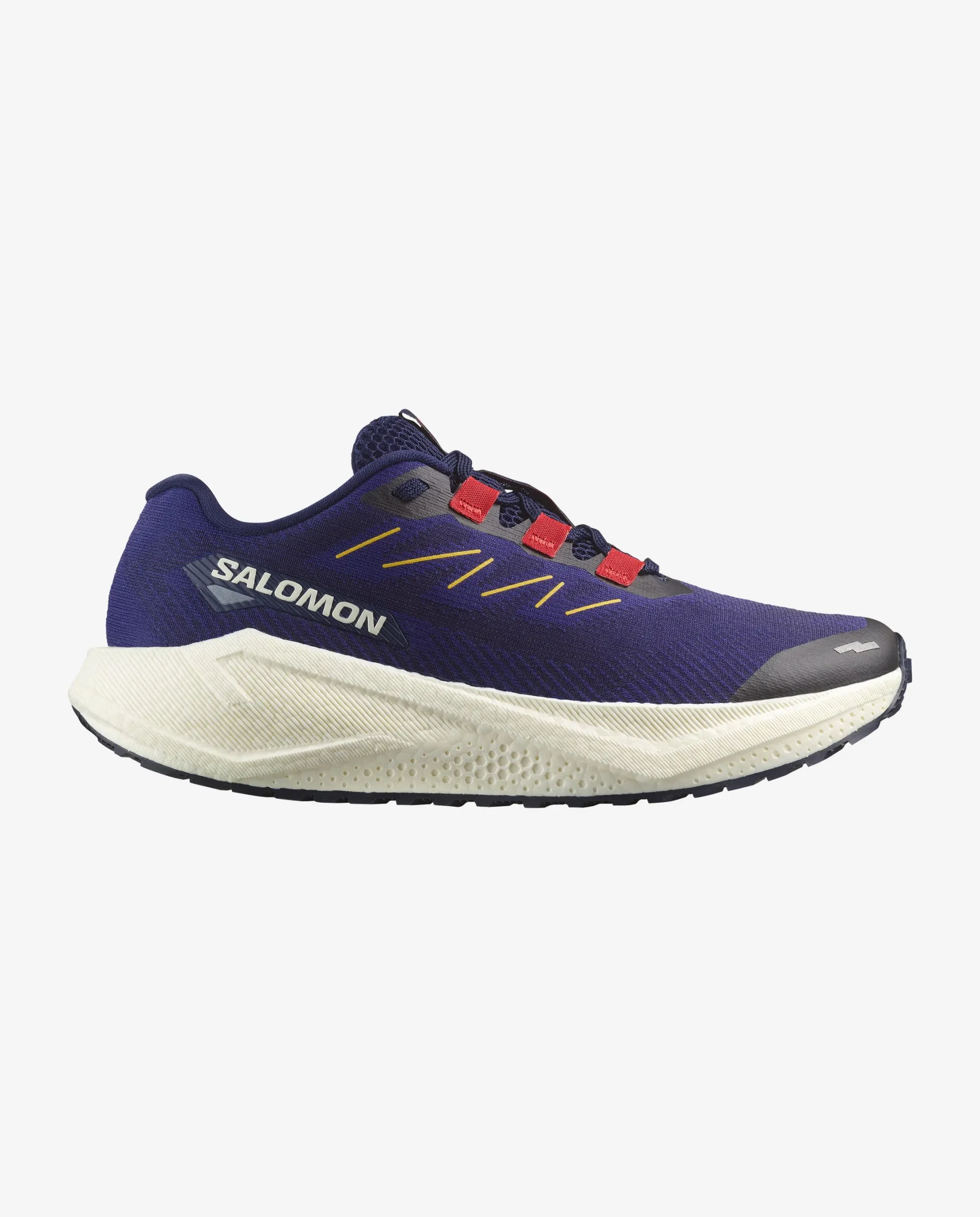 کفش تریل رانینگ مردانه سالامون مدل AERO BLAZE 3